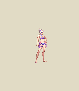 Fighter (F) Type D