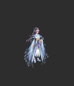 Priest (F) Type D